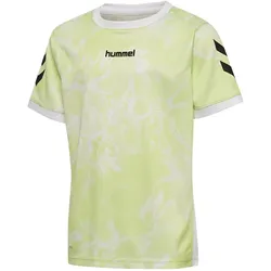 hummel, Jungen, Sportshirt, hmlBLAZE CLUB 26 GRAPHIC TEE KIDS (104), Grün