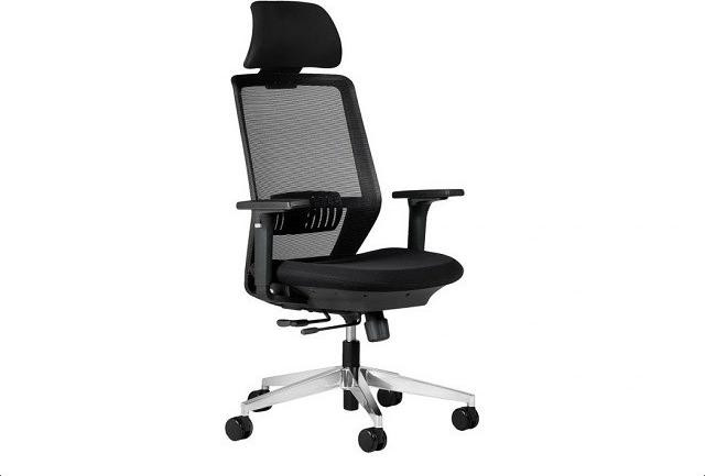 BEMONDI ergonomische bureaustoel met armleuningen, zwart