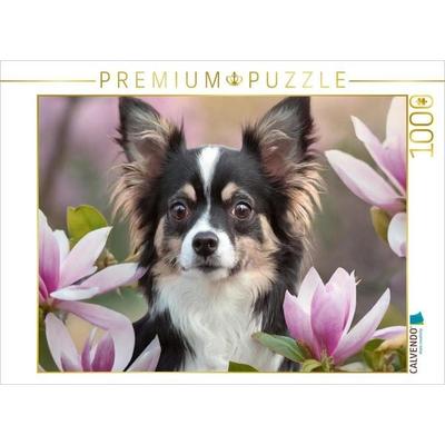 CALVENDO Puzzle Portrait eines schwarz-weißen Chihuahua der durch Magnolien schaut | 1000 Teile Lege-Größe 64x48cm Foto-Puzzle für glückliche Stunden,