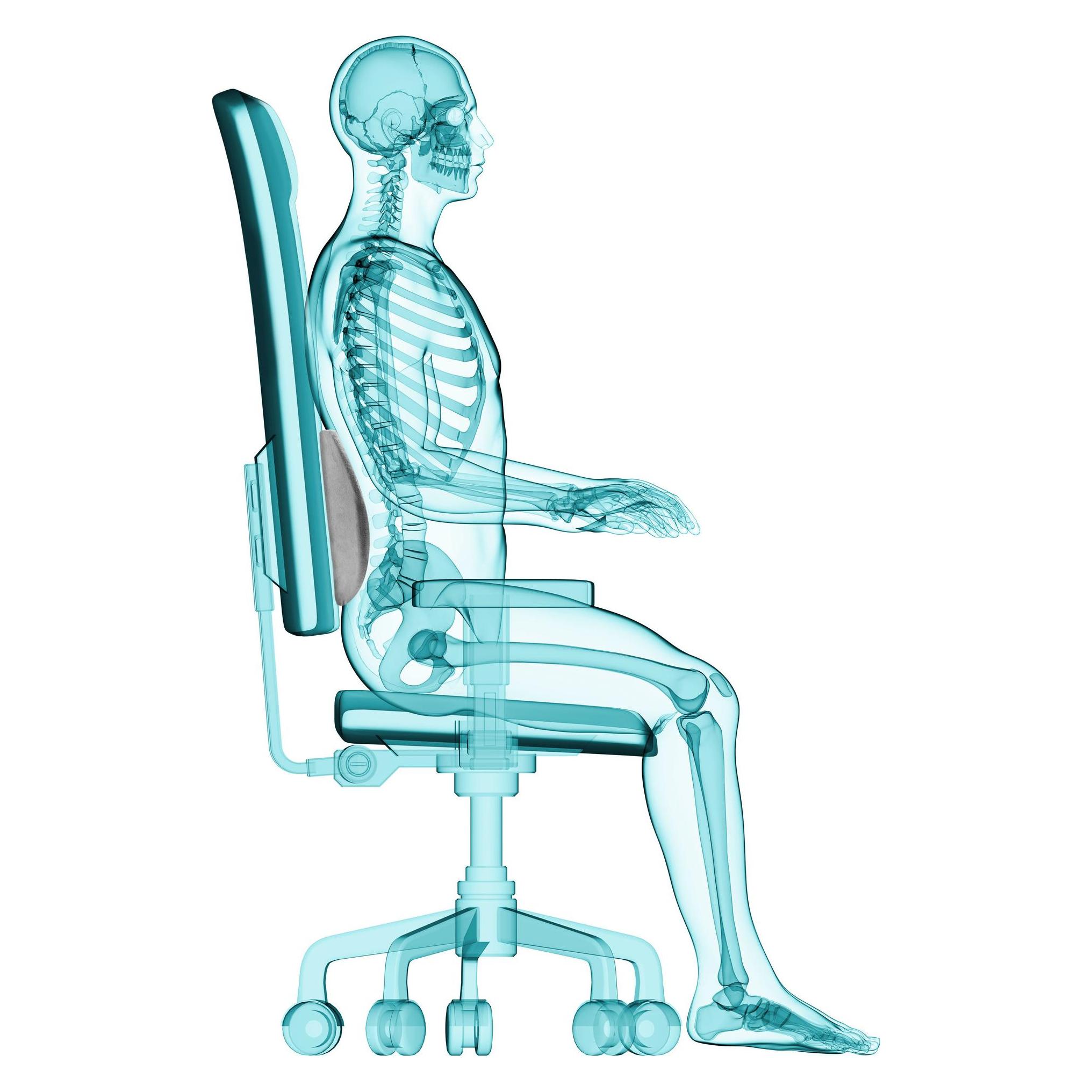 Travel Blue Ergonomic back support (2408)