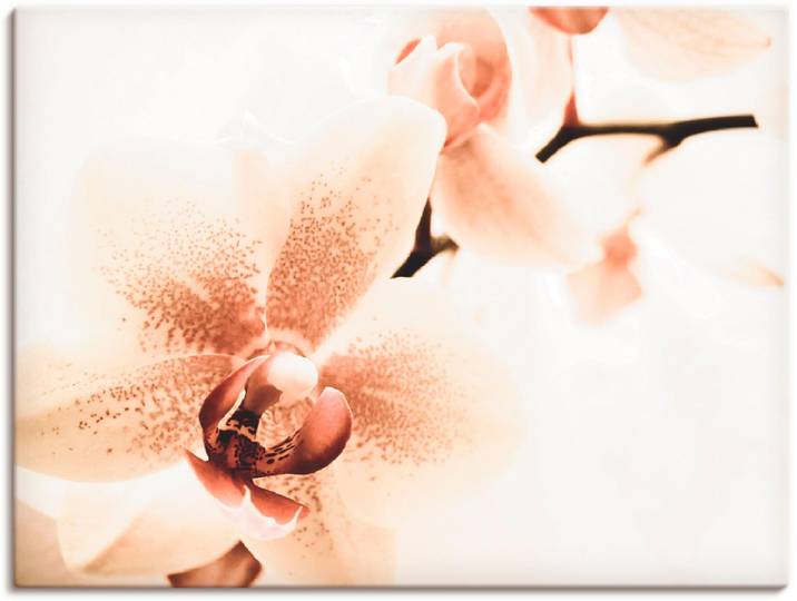 Leinwandbild ARTLAND Orchidee abstrakte Collage , beige (farbe bild(er): naturfarben), B:80cm H:60cm, Bilder, Leinwandbild, auf Holzrahmen gespannt