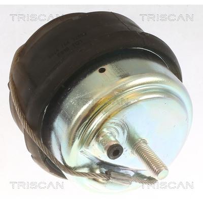 TRISCAN Lagerung, Motor 850527102 für Volvo