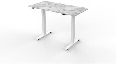Furniture of America Carlos Modern 47-inch Metal Electric-Powered Adjustable Standing Desk