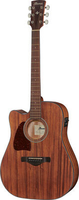 Ibanez AW54LCE-OPN Open Pore Natural