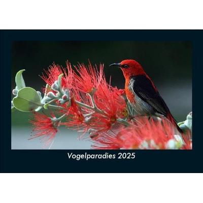 Vogelparadies 2025 Fotokalender DIN A5