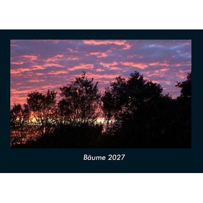 Bäume 2027 Fotokalender DIN A4