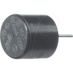 SCH 346915 - Kleinstsicherung, träge, 1 A