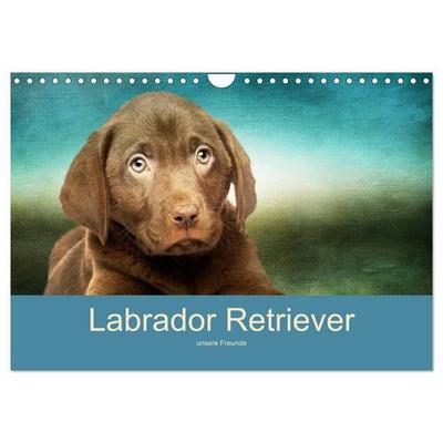 Labrador Retriever unsere Freunde (Wandkalender 2027 DIN A4 quer), CALVENDO Monatskalender