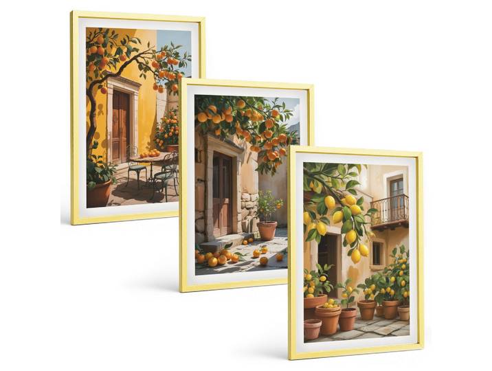 BILDER SET 3er Set - 40x60 cm Goldrahmen - Zitrusfrüchte, Hofpflanzen