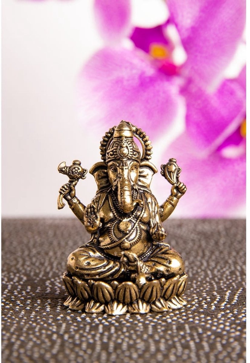 Berk Ganesha messing beeld op Lotus voor volwassenen