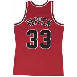 Mitchell & Ness, Herren, Sportshirt, Swingman Jersey Chicago Bulls 199798 Scottie Pippen (S), Rot, S