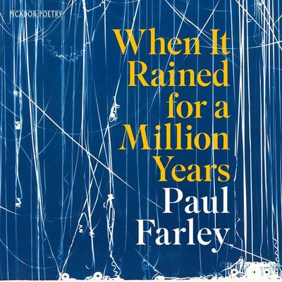 When It Rained for a Million Years - Paul Farley, Audio, 9781035068692