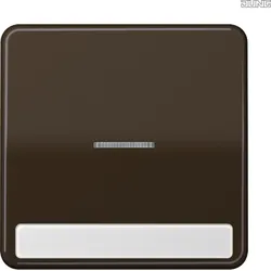 Jung Wippe Licht./Schriftf br für Taster CD 590 NAKO5 BR
