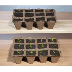 BURI 30x Anzuchttöpfe  24er Pflanzschalen Aussaattopf Zieh Blumen Stecklinge Platten