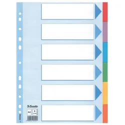 Esselte Register - blanko, Karton, A4, 6 Blatt, weiß, farbige Taben