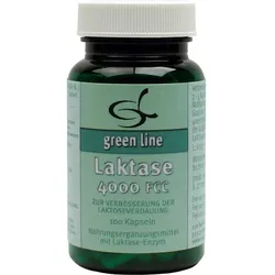 Laktase 4000 Fcc 100 ST