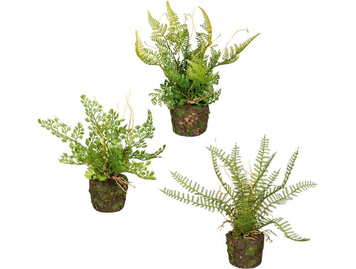 Künstliche Zimmerpflanze CREATIV GREEN Set aus Farnpflanzen auf Wurzelballen , grün, H:22cm, Kunststoff, Kunstpflanzen, Künstliche Zimmerpflanze, 3er Set