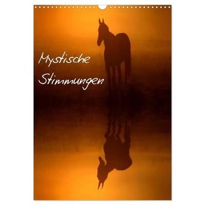Mystische Stimmungen (Wandkalender 2026 DIN A3 hoch), CALVENDO Monatskalender