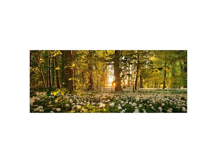 Tableau verre Sweet woodruff Matériau : Verre Motif : Nature Motif : Fleurs, Paysages & montagnes, Soleil & couchers de soleil, Arbres, plantes