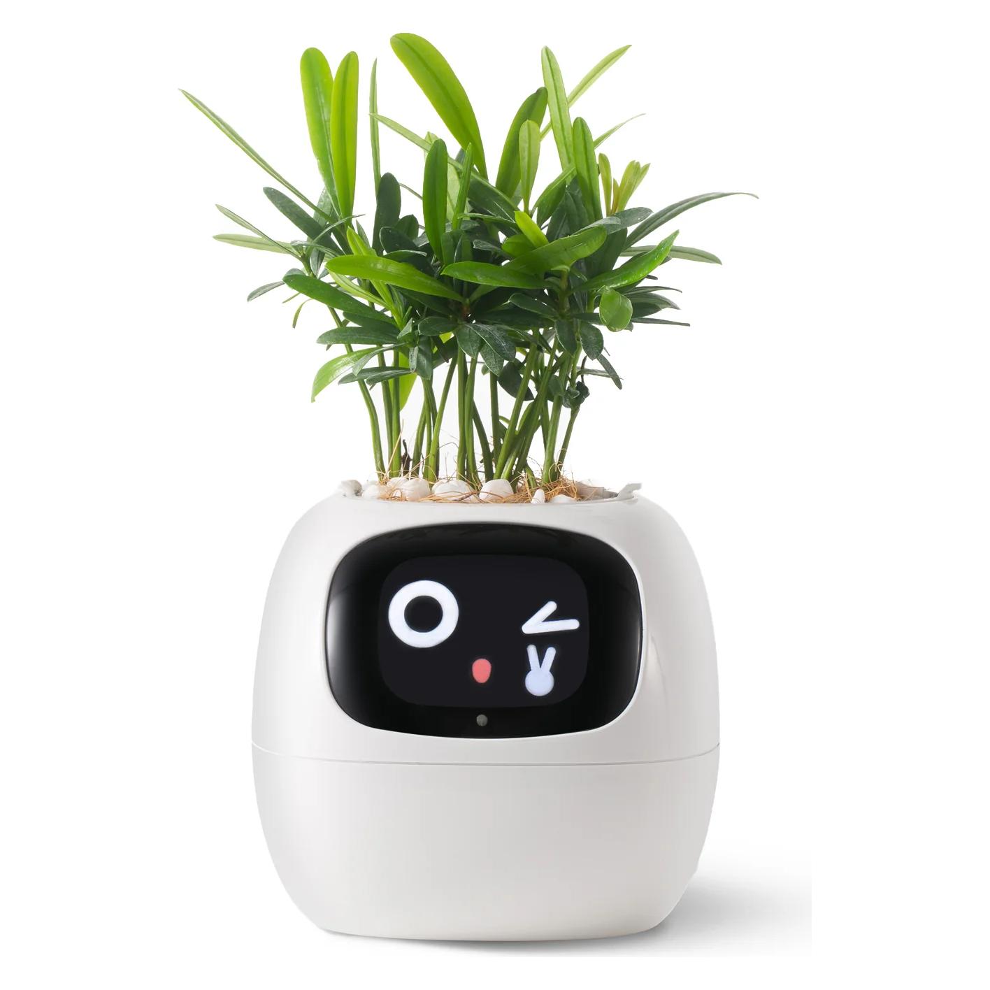 Plantsio Ivy Smart Planter (ivy_smart_planter_white)