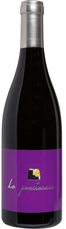 Vino Tinto La Penitencia 2021 - 75cl Raúl Pérez Viticultor