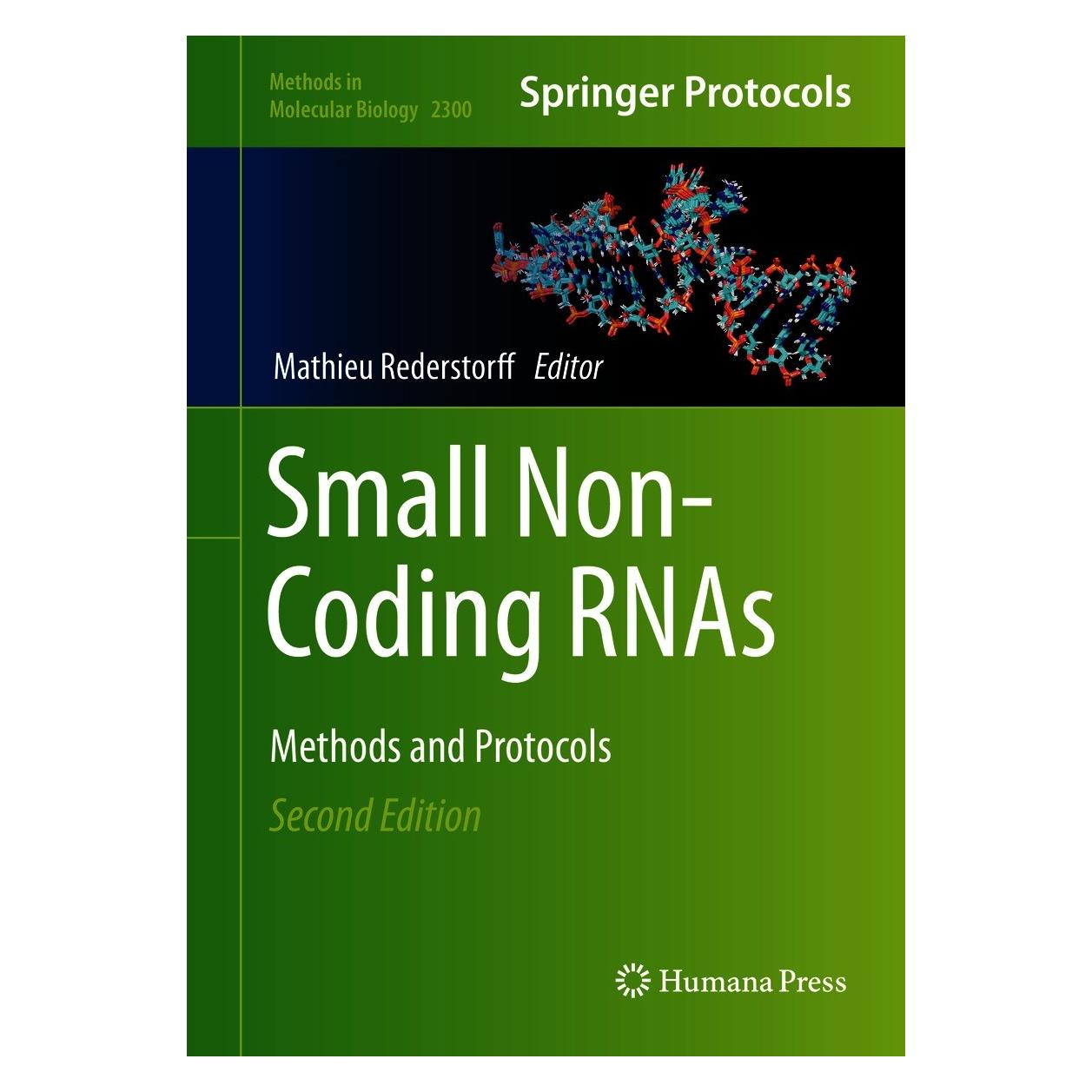 Springer Small Non-Coding RNAs (Englisch, Hardcover, Mathieu Rederstorff) (9781071613856)