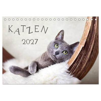 Katzen 2027 (Tischkalender 2027 DIN A5 quer), CALVENDO Monatskalender