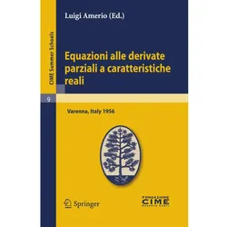Equazioni alle derivate parziali a caratteristiche reali, Fachbücher von Luigi Amerio