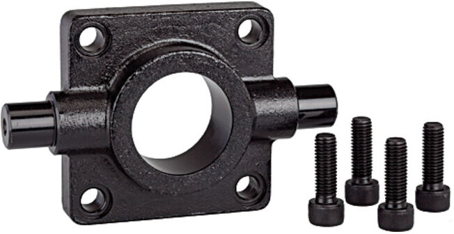 Riegler Fixation à tête pivotante type »FTC« pour cylindre standard Ø 80 (437.174)