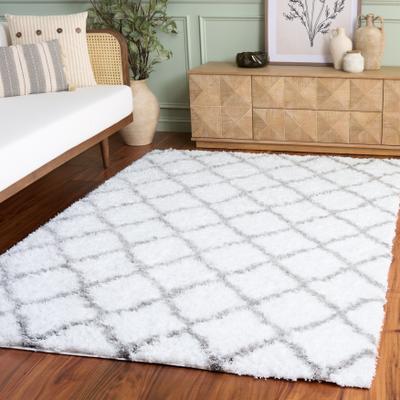SAFAVIEH Indie Shag Humeyra 2-inch Thick Rug