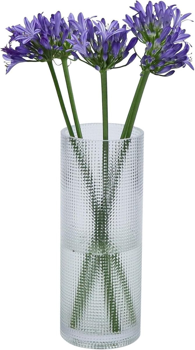 Moderne heldere glazen cilinder vaas van 25 cm voor bloemen en bloemstukken