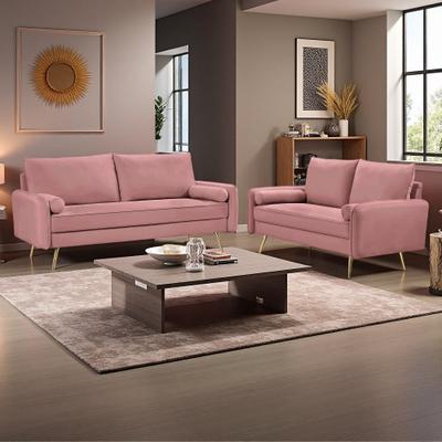 ZWYO HOSIMU 2-Piece Velvet Sofa Set with Nailhead Trim, Sofa & Loveseat, Gold Metal Legs, High-Density Foam Support for Living Room
