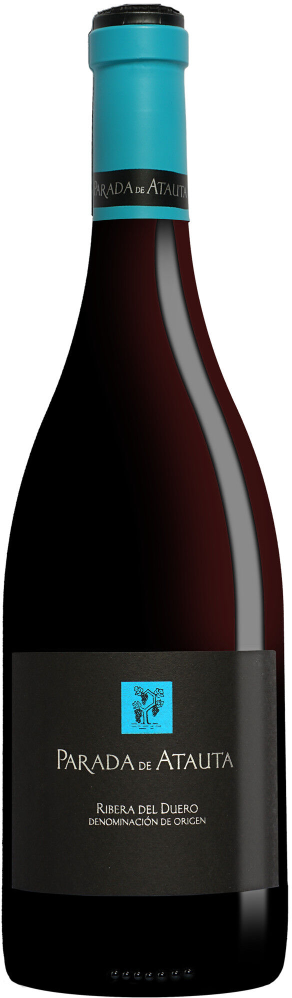Dominio de Atauta »Parada de Atauta« 2022 15% Vol. Rotwein Trocken aus Spanien