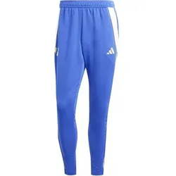 ADIDAS Herren Sporthose Pitch 2 Street Messi, Größe S in Blau Blau