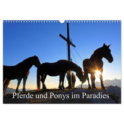 Pferde und Ponys im Paradies (Wandkalender 2027 DIN A3 quer), CALVENDO Monatskalender