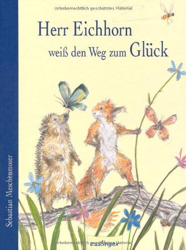 Sebastian Meschenmoser - Herr Eichhorn weiß den Weg zum Glück - Preis vom 19.10.2026 19:33:35 h