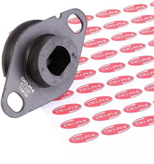DELPHI TEM109 Engine mount
