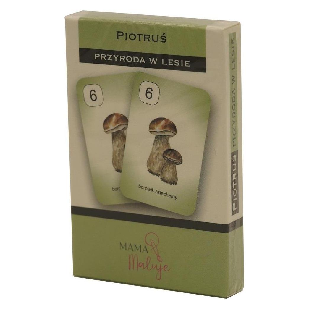 Teka Peter-Karten - Natur im Wald (47993616)