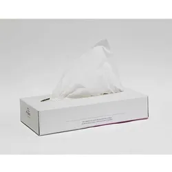 Fripa Kosmetiktücher akito, 21 x 20 cm, 2-lagig, hochweiß 40 x 100 = 4.000 Stück