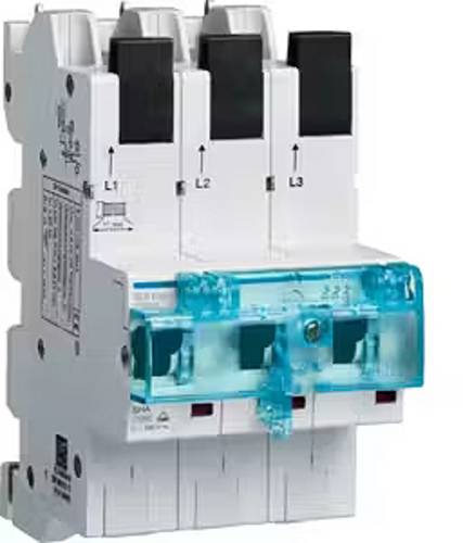 Hager HTS350E Hauptleitungsschutzschalter