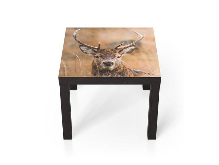 DEQORI Couchtisch 'Wächter des Waldes', Glas Beistelltisch Glastisch modern