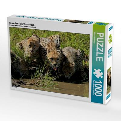 CALVENDO Puzzle Geparden - am Wasserloch | 1000 Teile Lege-Größe 64 × 48 cm Foto-Puzzle für glückliche Stunden