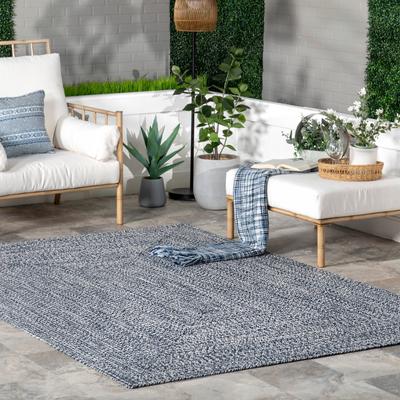 Nuloom Wynn Braided Indoor/Outdoor Area Rug