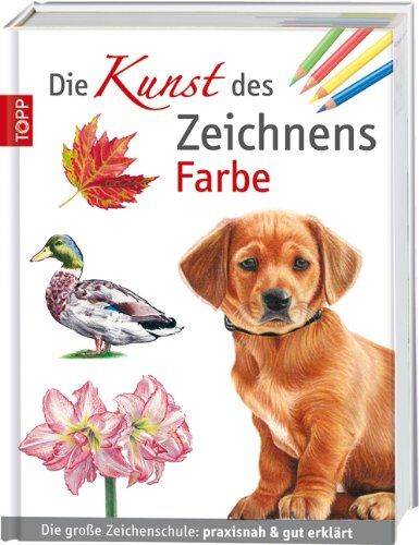 Die Kunst des Zeichnens Farbe: Die große Zeichenschule: praxisnah & gut erklärt - Preis vom 14.10.2026 23:07:16 h