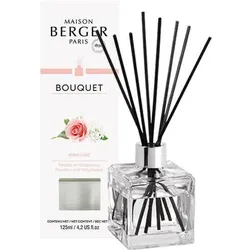 Raumduft Diffuser Paris Chic