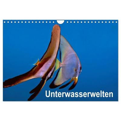 Unterwasserwelten (Wandkalender 2026 DIN A4 quer), CALVENDO Monatskalender