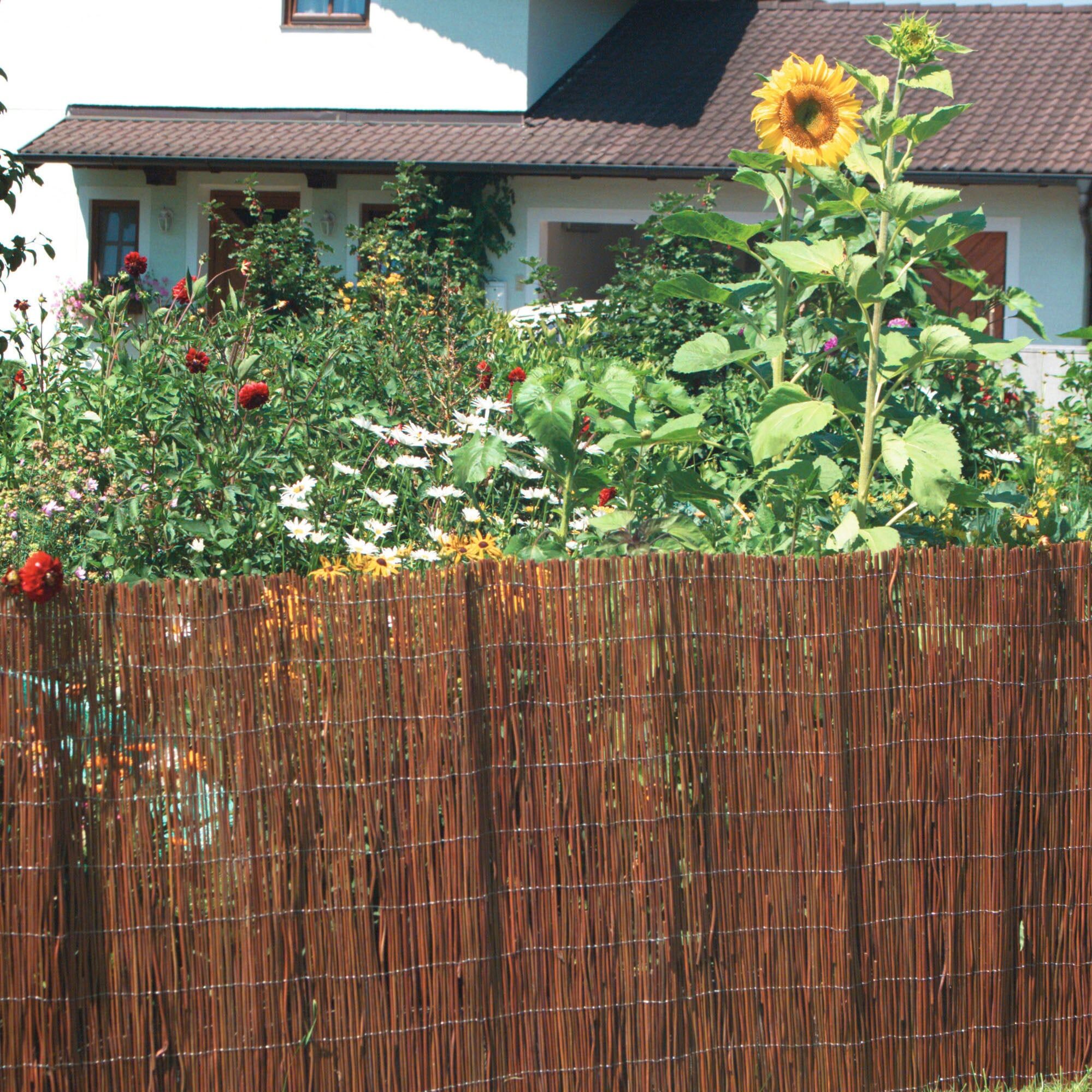 Sichtschutzzaunmatten WINDHAGER "Inaka, Verkleidung für Garten, Balkon und Terrasse, 100 x 300 cm", beige (natur), H:100cm, Farn, Zaunelemente, Sichtschutzzaun aus Farn, Blickschutz
