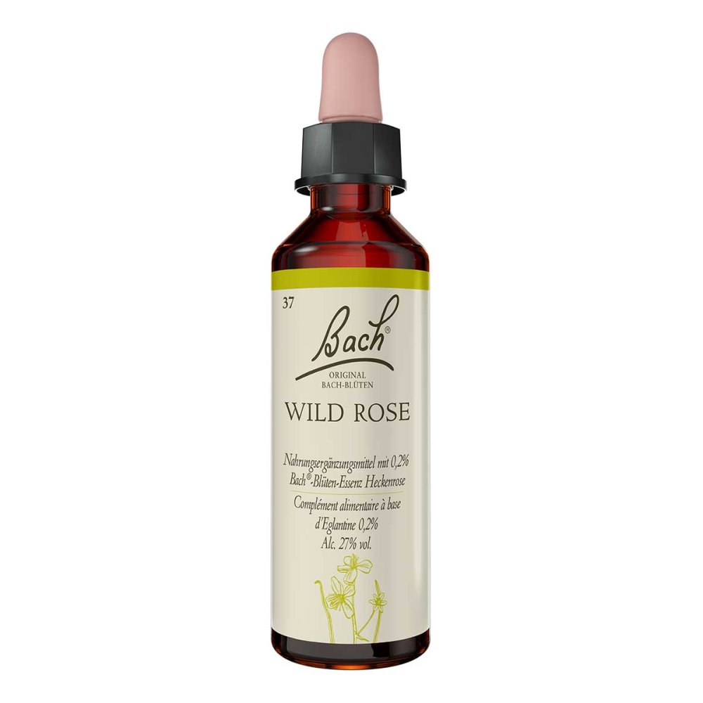 Nelsons GmbH Bachblüten Wild Rose Tropfen 00170127