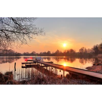 Fototapete PAPERMOON "HOLZ-BRÜCKE-PIER STEG SEE STRAND WALD SONNENUNTERGANG", bunt, B:2,5m L:1,86m, Vlies, Tapeten