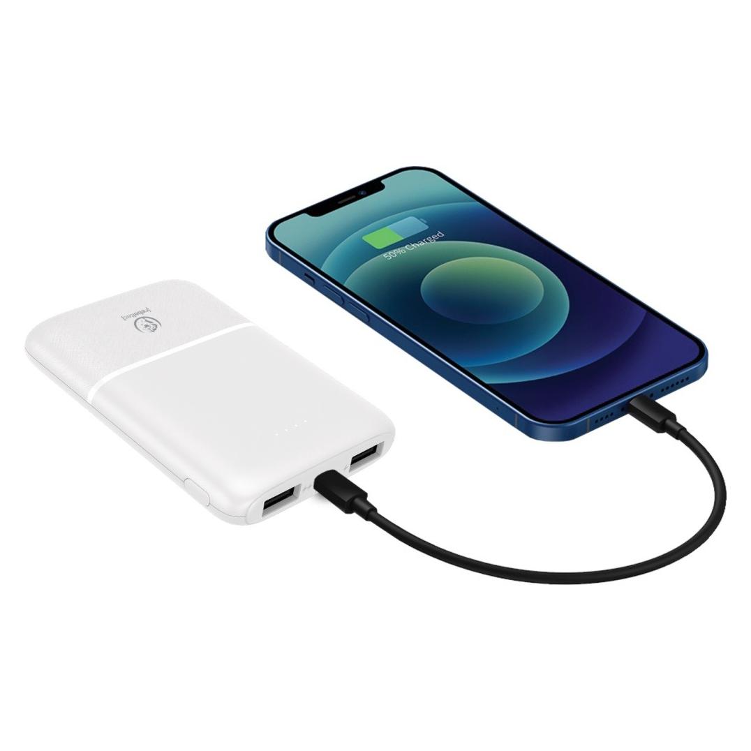 Rebeltec Powerbank P5 (5.000mAh 10W) (5000 mAh, 10 W) (RBLUCH00028)